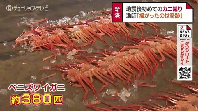 「奇跡…“１つ”だけ揚がった」地震後初めて並んだベニズワイガニ　昼競りは3分で終了|TBS NEWS DIG