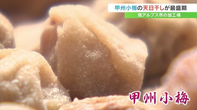「この時期じゃないとできない」甲州小梅　厳しい残暑の中、天日干しが最盛期　　山梨　|　山梨のニュース | ＵＴＹテレビ山梨