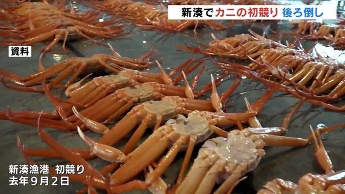 猛暑でカニ初競りに異変！新湊はベニズワイ１週間遅れに 背景には能登半島地震の影響も|TBS NEWS DIG