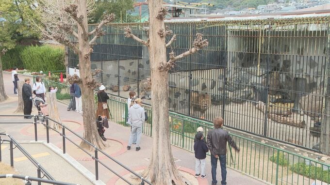 連休最終日　開園６６周年迎えた徳山動物園にぎわう　山口|TBS NEWS DIG