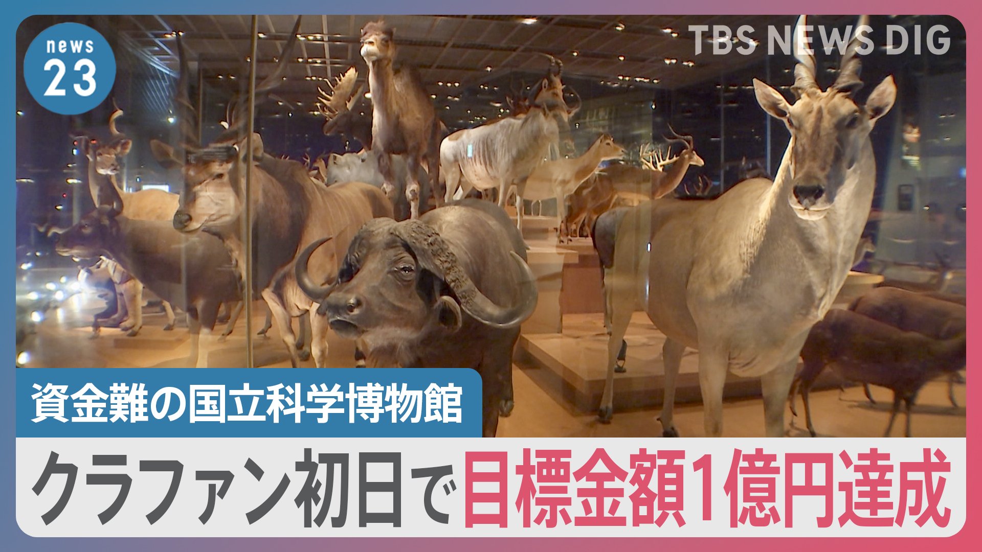 超激レア？世界に1つ？今は無き逓信博物館　クイズ当選品 資金難”の国立博物館がクラウドファンディング 目標金額1億円を初日で