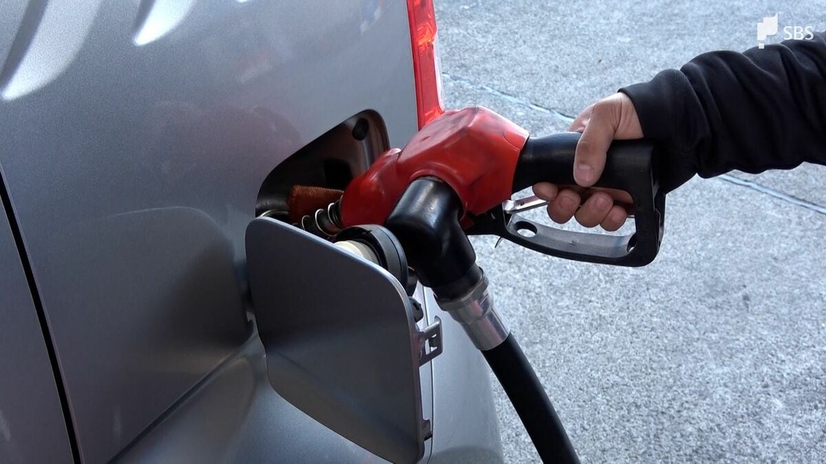 高騰ガソリンの出費を抑えるコツは「月に1度の点検」ガソリンスタンド