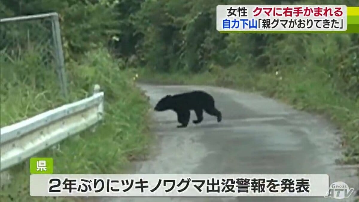 くまになります。 急いで車に戻りドアを閉めようとしたが間に合わなかった」親グマに右腕