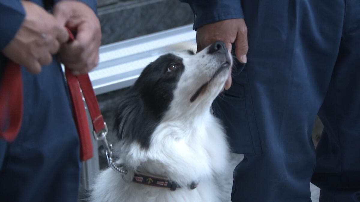 行方不明者1人発見の実績も！9頭の「嘱託警察犬」が高知で始動　初任命の警察犬の目標は「人を見つけたい」【高知】