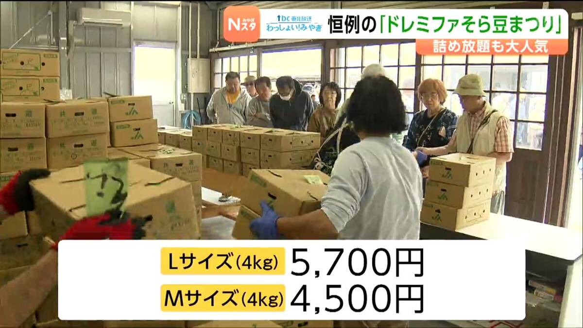 500円で詰め放題』のコーナーも大人気！「ドレミファそら豆まつり」が