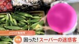 「アイスハンター」に「むきトウモロコシの返却」 レジ行列で「カゴキック犯」続出!夏に頻発するスーパーの迷惑行為を徹底取材!|TBS NEWS DIG