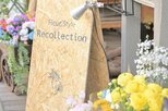 「くる恋」では瀬戸康史さんに指導も ドライフラワーのプロが明かす「花の“見せ方”という視点」|TBS NEWS DIG