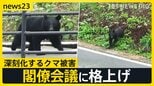早朝の学校にクマ！カメラが捉えた侵入の一部始終　深刻化するクマ被害に「連絡会議」→「閣僚会議」に格上げ 30日に対応協議へ【news23】|TBS NEWS DIG