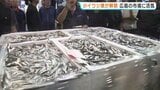 「豊漁でいいスタートが切れた」 “夏の味覚” 小イワシ漁が解禁 広島の市場に活気|TBS NEWS DIG