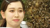 大学キャンパスに10万匹のミツバチ 女子大学生が養蜂に取り組むワケ「虫も得意じゃなくて怖かったけど…」|TBS NEWS DIG