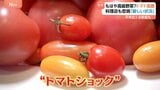 もはや高級野菜？トマトが高騰　料理店も悲鳴「厳しい状況」 背景に熊本の“記録的な大雨”|TBS NEWS DIG