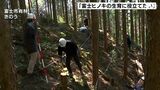 「富士ヒノキの生育に役立てたい」富士市と東京の大学生が合同で調査=静岡・富士市 | 静岡のニュース | SBSNEWS | 静岡放送