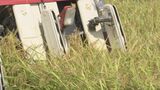 稲刈りの進捗率96% 高温で生育早まり、大幅に早い終了へ 岩手|TBS NEWS DIG