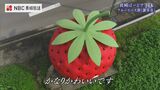 ”インスタ映え” の聖地 小長井フルーツバス停 空から見たイチゴのヘタはかなり可愛い | 長崎のニュース | 天気 | NBC長崎放送