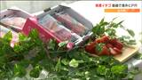 「目標は10万パック、4千万円以上の販売」“県産イチゴ”アジアに向け出荷でＰＲ動画を撮影　宮城・山元町|TBS NEWS DIG