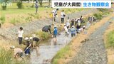 「何がいるかな?」児童が“水辺の観察会”で環境守る大切さ学ぶ 新潟・柏崎市|TBS NEWS DIG