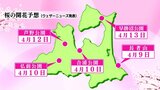 青森・弘前のサクラ開花4月10日予想・4日から5日早まる　サクラ前線は記録的早さで北上　|TBS NEWS DIG