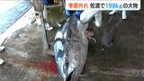 気候変動の影響? 198キロの巨大クロマグロが定置網に 季節外れの大物にびっくり 新潟・佐渡市|TBS NEWS DIG