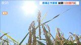 「渇水による農業被害を支援・物価高対策も」総額108億円の補正予算案 新潟県|TBS NEWS DIG