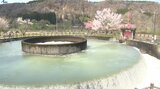 田植えの本格化を前に奥州市胆沢・徳水園で円筒分水工の放水式行われる 岩手|TBS NEWS DIG