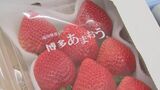 航空機であまおうを輸送する「トライアル空輸」始まる 深刻なドライバー不足に対応 | 福岡のニュース|RKB NEWS|RKB毎日放送