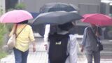 「暑くなくても湿度が高くなれば…」夏だけじゃない!「梅雨型熱中症」に注意…積極的なエアコンの使用を 去年は6月だけで7275人が搬送、過去2番目の多さ | 富山のニュース|天気・防災|チューリップテレビ