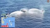 【独自】緊迫の船内映像を入手…中国艦船による放水砲でフィリピン船が損傷、乗組員4人けが 領有権対立深まる南シナ海|TBS NEWS DIG