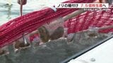 “過去最も遅い” 有明海特産ノリの種付け解禁 7.5億枚生産へ 熊本|TBS NEWS DIG