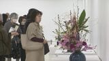伝統の様式美から独創的まで 春の訪れ感じる「石川県いけばな展」が金沢で開幕　|　石川県のニュース｜MRO北陸放送