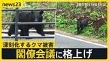 早朝の学校にクマ!カメラが捉えた侵入の一部始終 深刻化するクマ被害に「連絡会議」→「閣僚会議」に格上げ 30日に対応協議へ【news23】|TBS NEWS DIG
