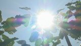 最高気温は南部34.0度、勝沼33.8度 山梨県内に熱中症警戒アラート【午前11時時点】 | 山梨のニュース | UTYテレビ山梨