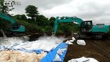 40%に当たる7145頭の殺処分終了 豚熱発生の養豚場で防疫措置続く 県職員延べ914人作業 県外獣医師も動員 岩手・洋野町 |TBS NEWS DIG