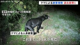 4月~10月のクマの人身被害 全国で196人 最も被害者数が多かった年度を上回るペース 環境省|TBS NEWS DIG