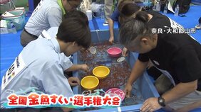 【3分間の勝負】“金魚すくい”日本一は誰の手に？全国から約1500人が参加　奈良・大和郡山市|TBS NEWS DIG