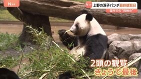 「バイバイって声をかけました」国内で見納め　上野の双子パンダ最終観覧日　「シャオシャオ」・「レイレイ」あさって（27日）出国予定|TBS NEWS DIG