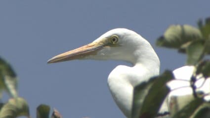 img_c7559835fb3b7d9031bd6939fe