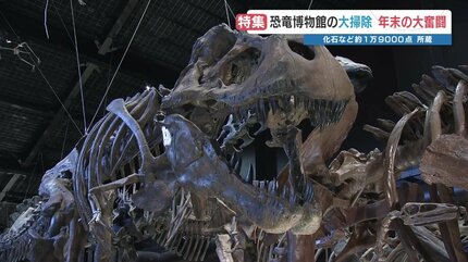 これが恐竜の目線か」博物館の大掃除に密着 骨格標本もスッキリ？ 熊本