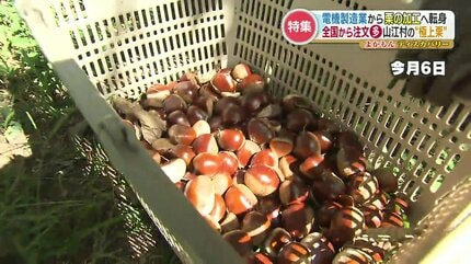 経営危機から一転『栗』が村の一大産業へ 口当たり抜群で甘味が広がる