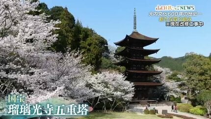 NYタイムズが選ぶ・行くべき52か所に山口市】参加費100万円申し込み NYタイムズが選ぶ・行くべき52か所に山口市】参加費100万円申し込み