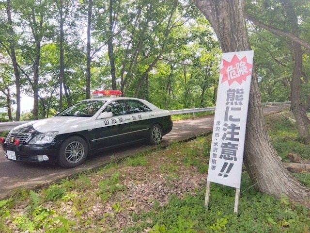 【クマ】親子グマに遭遇→親グマに襲われる人的被害（山形・米沢市）　|　山形のニュース│TUYテレビユー山形