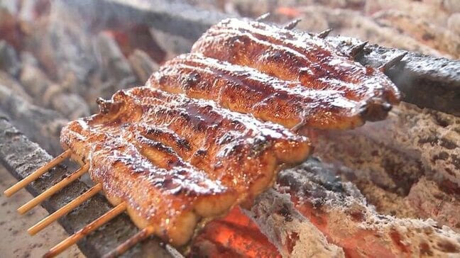 「スーパーのうなぎは洗え！焼き方は…」うなぎ評論家が伝授！家で美味しく食べるコツ　少量で満足感たっぷり『うなダレＴＫＧ』とは？【土用の丑の日】|TBS NEWS DIG