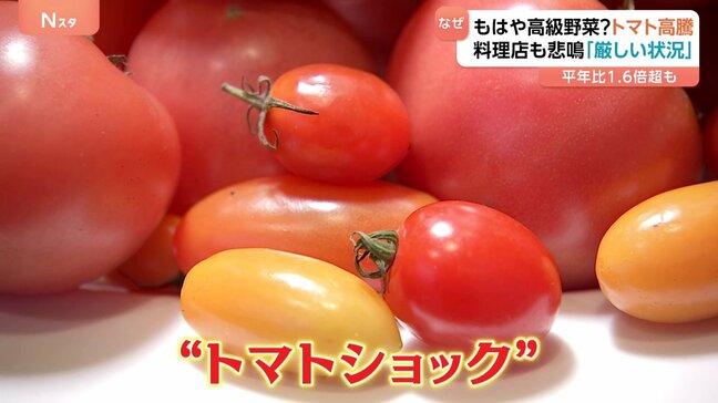 もはや高級野菜？トマトが高騰　料理店も悲鳴「厳しい状況」 背景に熊本の“記録的な大雨”|TBS NEWS DIG