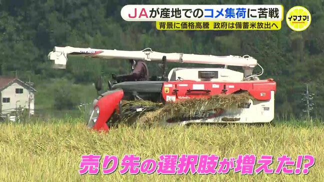 「集荷競争が非常に激化」JAがコメ集荷に苦戦 背景に価格高騰 産地での異変を取材|TBS NEWS DIG