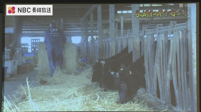 エサ代や燃料費の高騰が経営を圧迫「団結して危機突破を」長崎県内の和牛生産者が集会　|TBS NEWS DIG