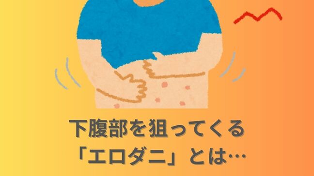 下腹部を狙ってくる通称「エロダニ」目の周辺にまとわりつく「メマトイ」…何それ？！厄介な生き物の正体は？対策は？|TBS NEWS DIG