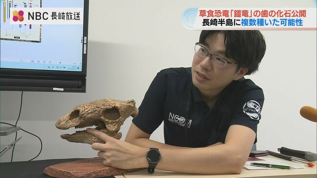 【長崎】約8000万年前の“鎧竜”の歯の化石を新発見　世界的にも珍しい複数種の存在示す|TBS NEWS DIG