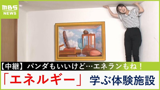 【中継】アトラクションで「エネルギー」を学ぶ『白浜エネルギーランド』 パンダめぐり今も昔も変わらぬ思い「自分たちは自分たちで頑張らないと」【新人アナ・上田芹莉のパンダびと】|TBS NEWS DIG
