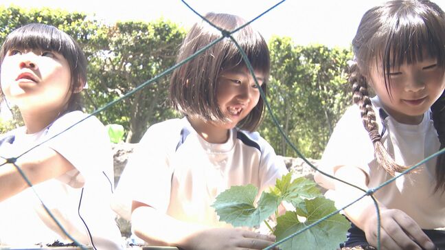 「大きくなーれ!」緑のカーテン設置へ 園児がゴーヤーの苗を植えつけ|TBS NEWS DIG