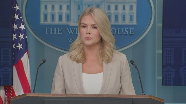 相互関税は「発表後、直ちに発効」 米ホワイトハウス報道官|TBS NEWS DIG