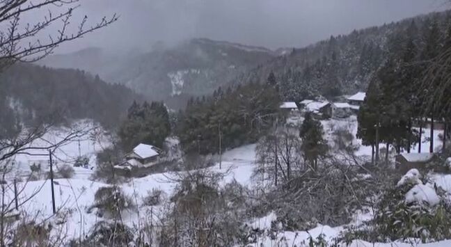 「孤立を思い出して怖い」昨シーズン倒木で孤立した集落では長引く寒波に不安　石川・輪島市|TBS NEWS DIG